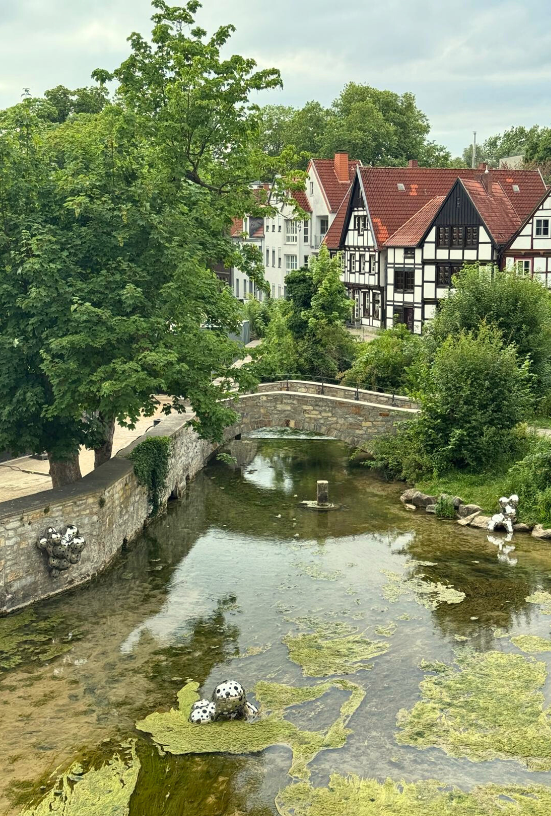 Der Fluss bin ich!